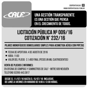 LIC 009 16 - 2 X 10 LICITACIONES-01