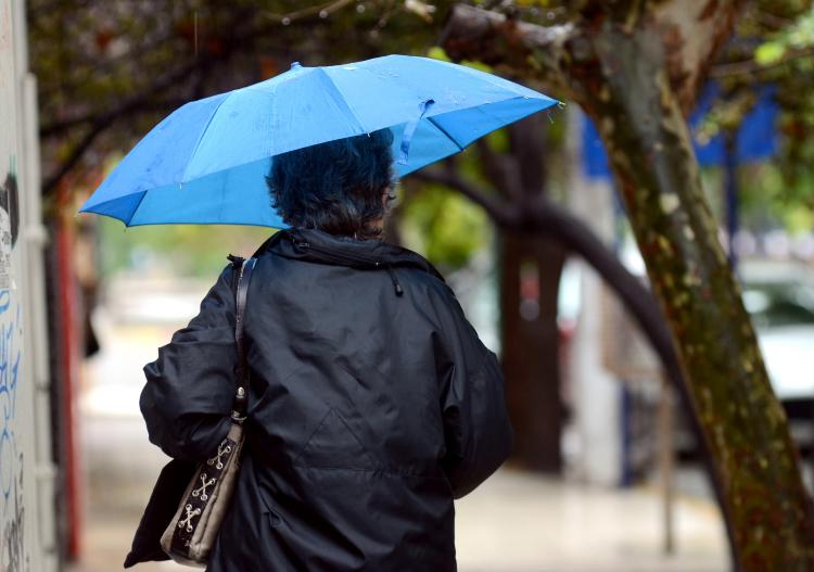 Lee más sobre el artículo LAS CONSECUENCIAS DE LA LLUVIA: ÁRBOLES CAÍDOS Y ASISTENCIAS SOCIALES