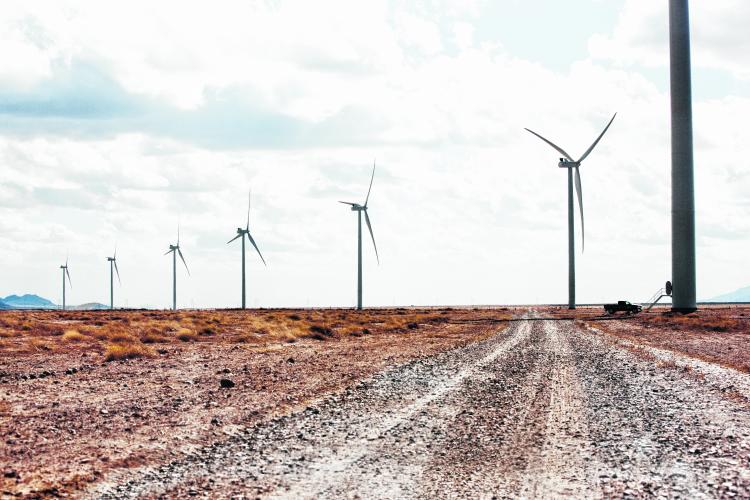 Lee más sobre el artículo VIENTO DE COLA PARA LAS RENOVABLES