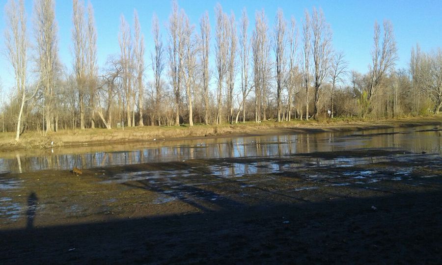 En este momento estás viendo PREOCUPANTE BAJA DE LOS RÍOS EN NEUQUÉN