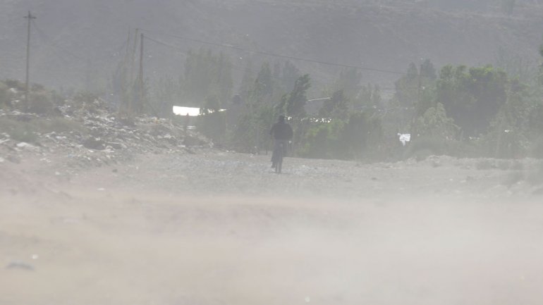 Lee más sobre el artículo LAS FUERTES RÁFAGAS DE VIENTO TIRARON VARIOS ÁRBOLES