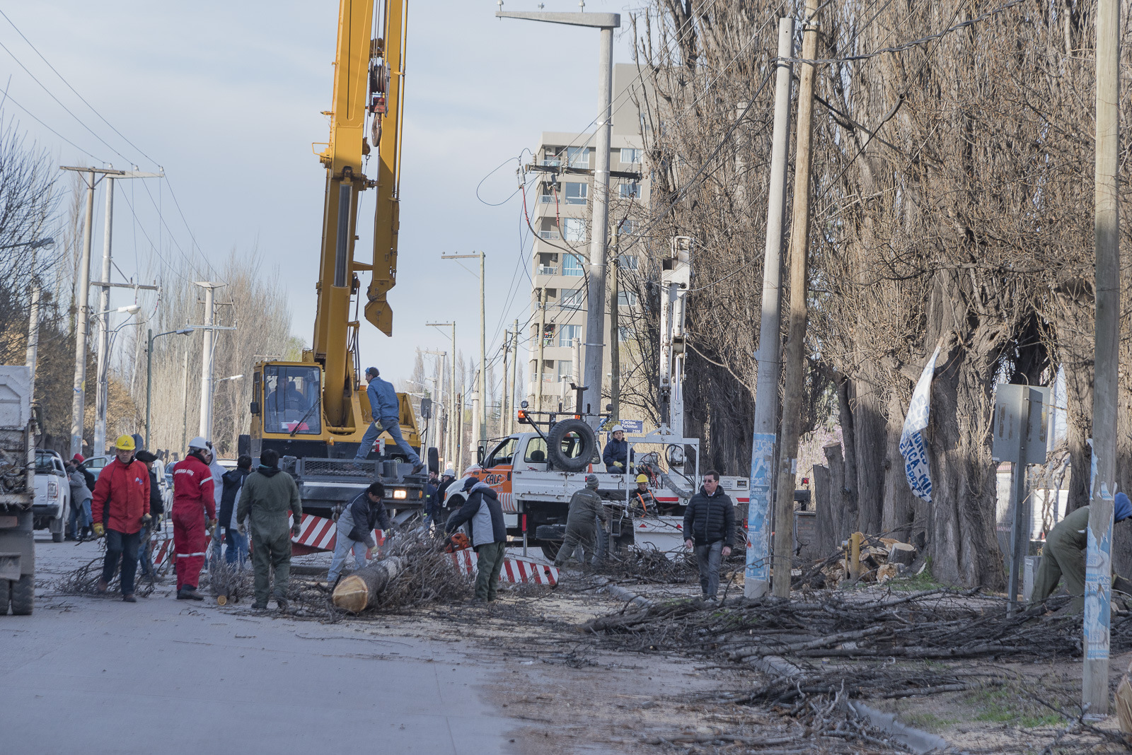 Lee más sobre el artículo TRABAJOS CONJUNTOS ENTRE CALF Y EL MUNICIPIO