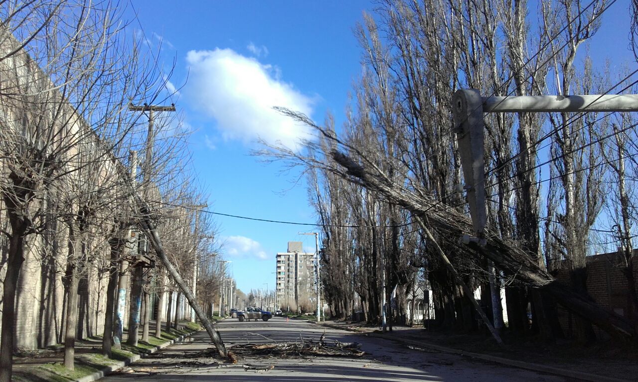 En este momento estás viendo TRASTORNOS POR EL VIENTO