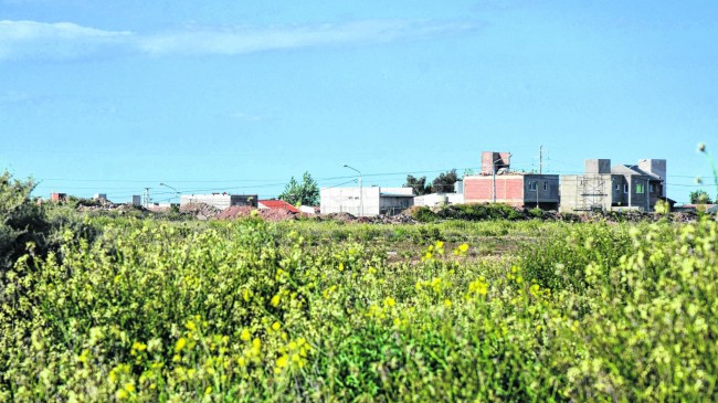 Lee más sobre el artículo DESDE HACE 13 AÑOS NEUQUÉN INTENTA CONQUISTAR LA MESETA