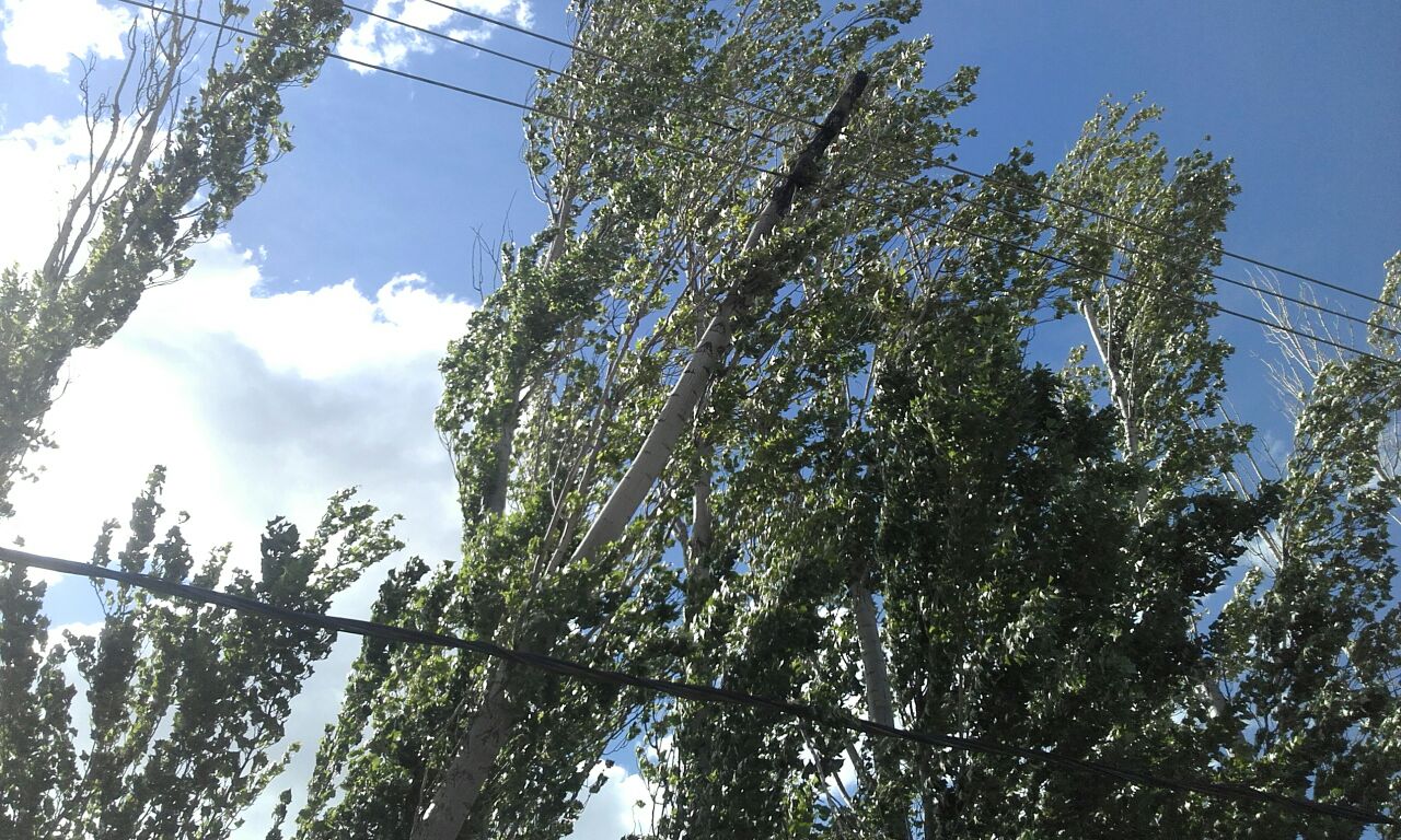 En este momento estás viendo EL VIENTO NO PROVOCÓ GRANDES INCONVENIENTES EN NUESTRO SERVICIO