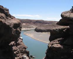 En este momento estás viendo LOS CHIHUIDOS QUE ESCONDE EL NEUQUÉN