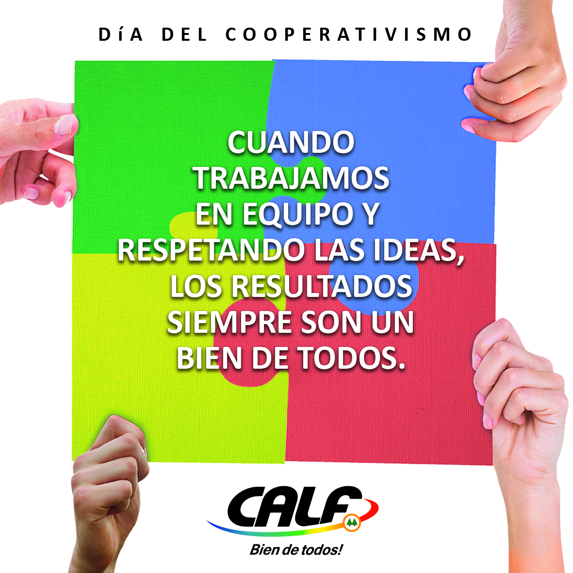 Lee más sobre el artículo DÍA INTERNACIONAL DEL COOPERATIVISMO