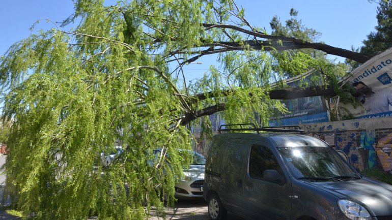 En este momento estás viendo EL VIENTO NO CAUSÓ TANTOS DAÑOS, PERO LA ALERTA SIGUE