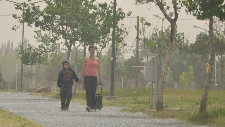 En este momento estás viendo ¿SE FUE EL VERANO?: LLEGA EL VIENTO Y LOS DÍAS ESTARÁN FRESCOS