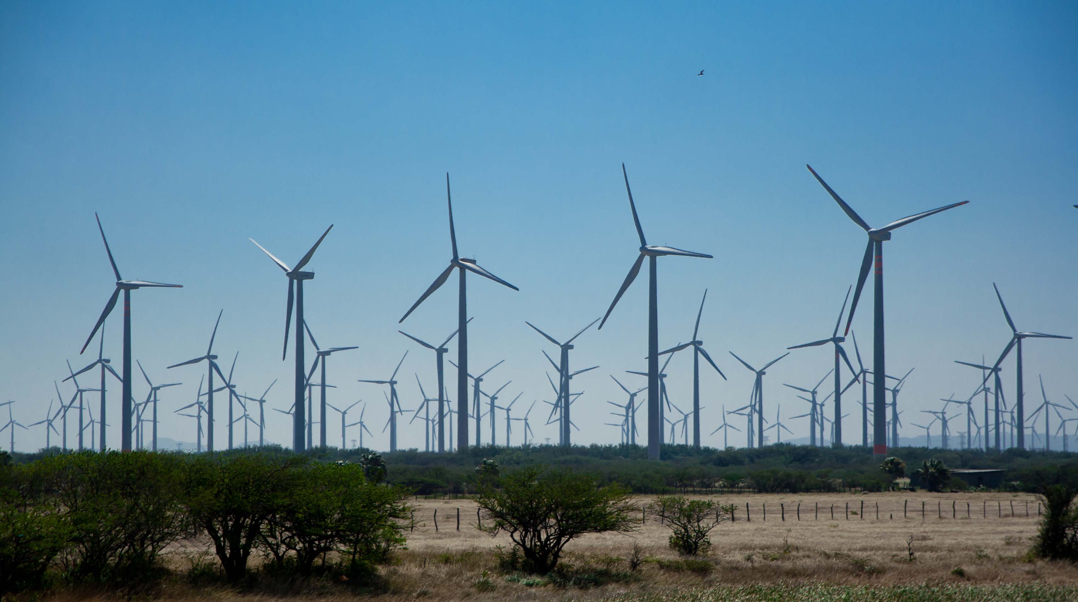 En este momento estás viendo DE LA MANO DEL VIENTO, NEUQUÉN SE PRENDE AL MERCADO ENTRE PRIVADOS