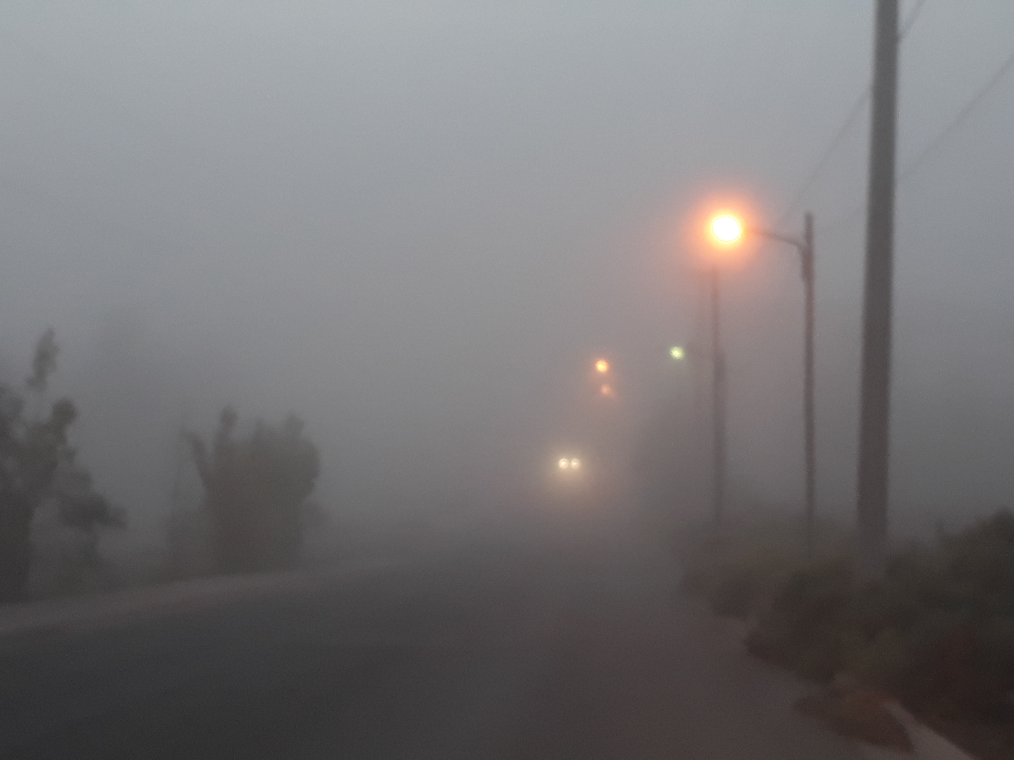 En este momento estás viendo PRONÓSTICO DEL TIEMPO: PARCIALMENTE NUBLADO. FRESCO A TEMPLADO