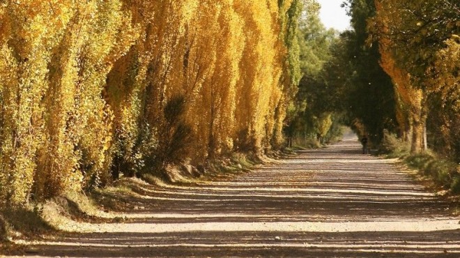 Lee más sobre el artículo PRONÓSTICO: ESTE MARTES SE MANTENDRÁN BAJÍSIMAS LAS TEMPERATURAS
