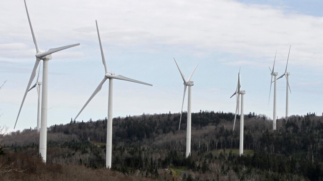 Lee más sobre el artículo LA ENERGÍA VERDE BROTA EN EL PAÍS Y LA REGIÓN