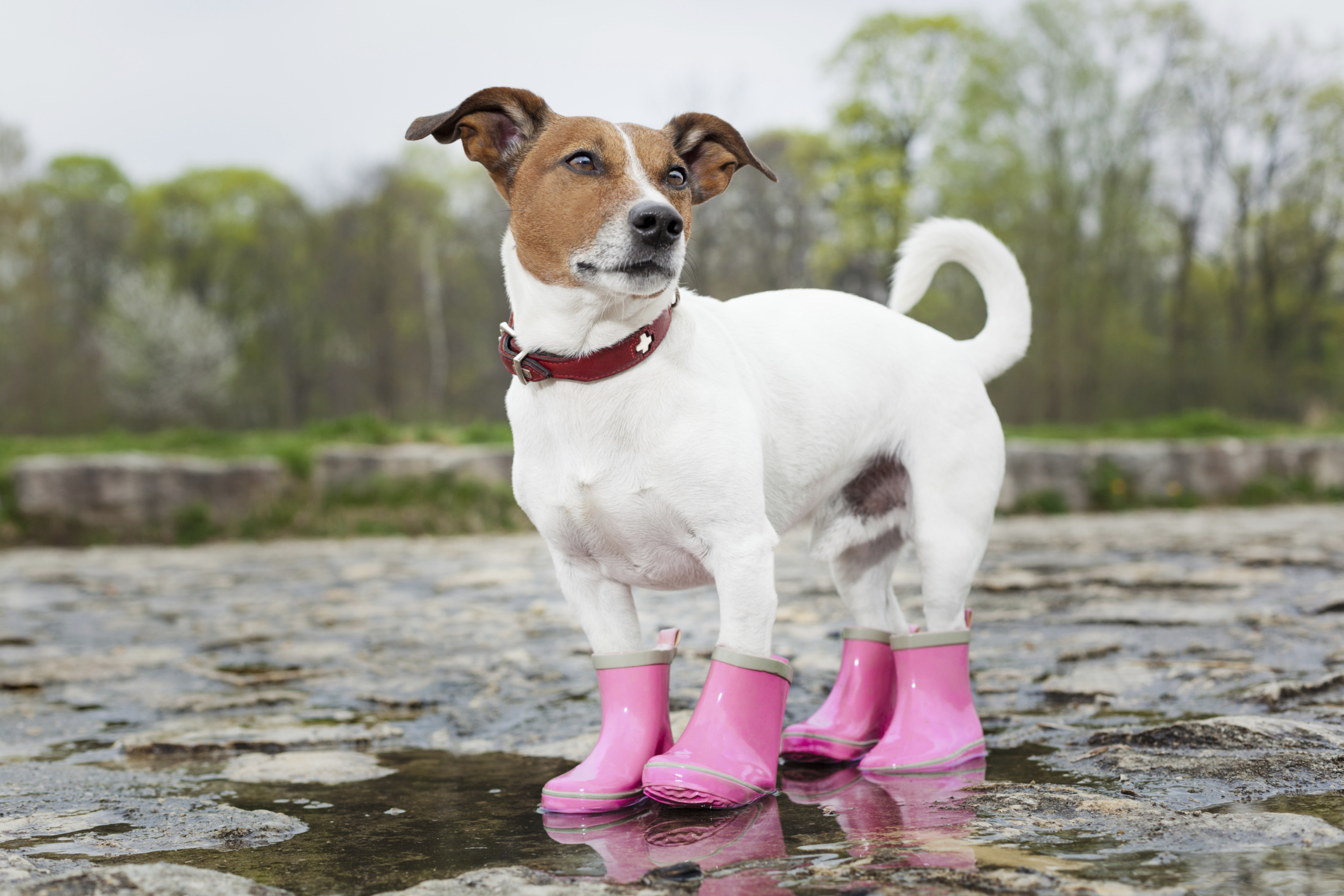 En este momento estás viendo PRONÓSTICO: ¿LA SEMANA EMPIEZA CON LLUVIAS?