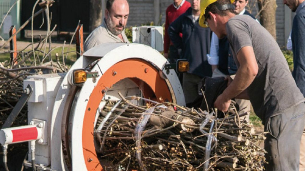 En este momento estás viendo GENERAN ENERGÍA CON RAMAS DE LAS PODAS