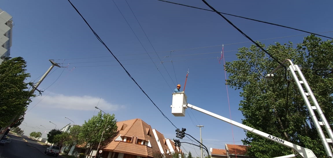 Lee más sobre el artículo Calf trabaja para minimizar efectos del temporal de viento