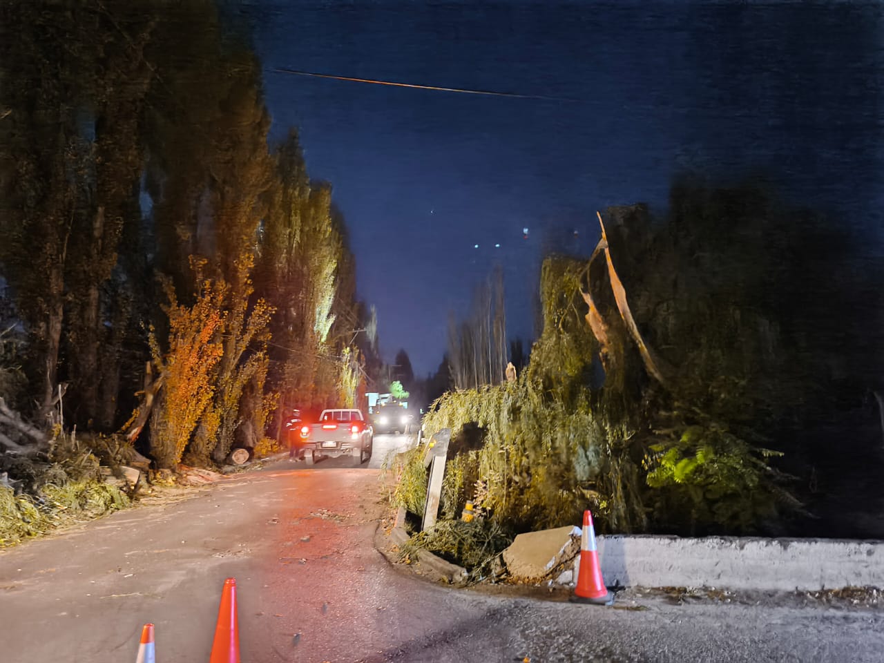 Lee más sobre el artículo Caída de un gran Sauce afectó red de Media Tensión e Internet en barrios del oeste de Neuquén